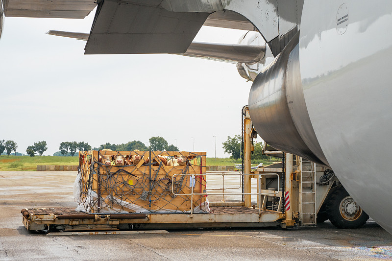 佛山市通桂物流有限公司