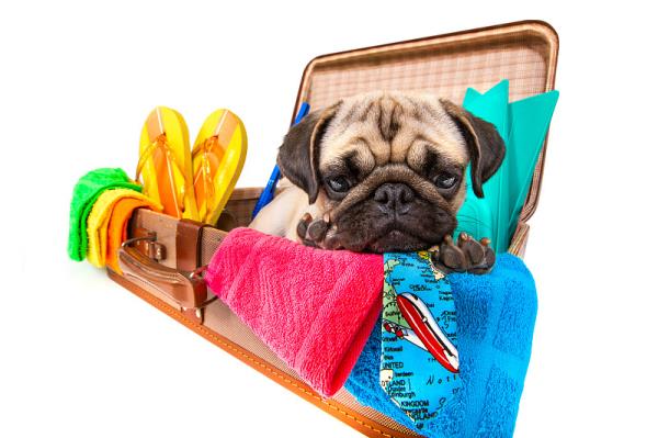 钦州市及时道国际物流有限公司