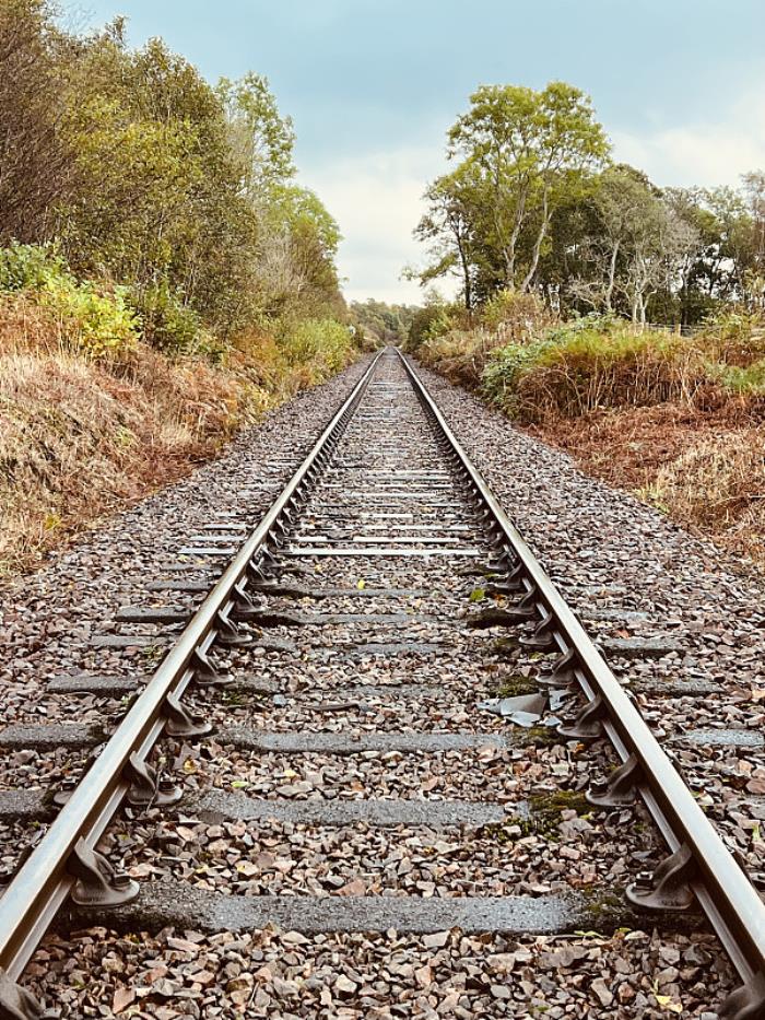 来宾金牛物流有限公司