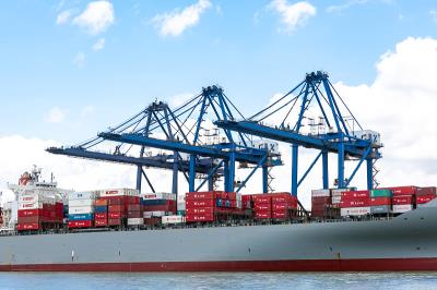 东莞市百德物流有限公司