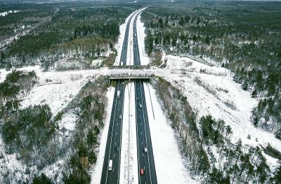 佛山市南海万顺通物流有限公司