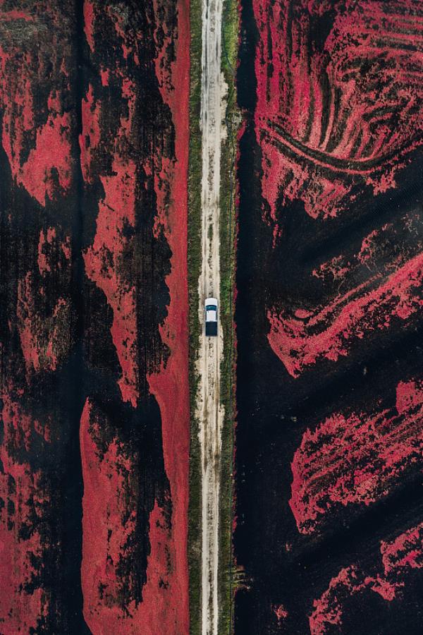 深圳市梓桐物流有限公司