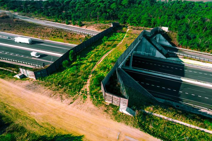 领达国际物流（深圳）有限公司