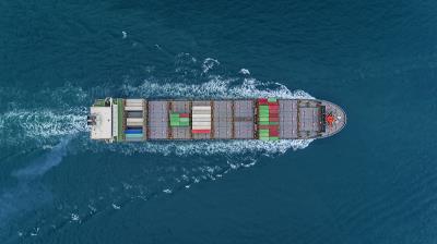 >东莞市笨鸟物流有限公司