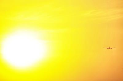 广州市良恩物流有限公司