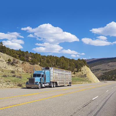 广西世阳物流有限公司