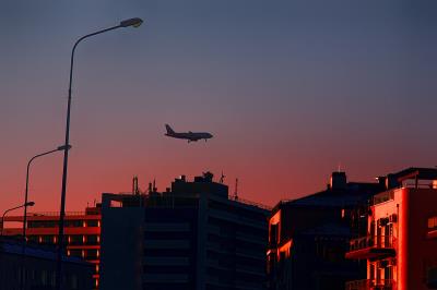 上海苗轩物流有限公司