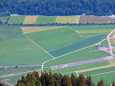 佛山市晴川物流有限公司