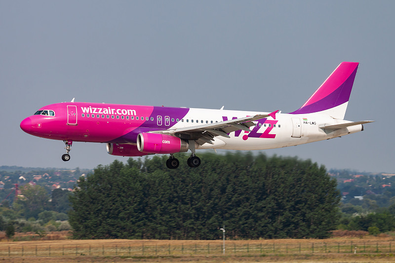 黑酸枝木选用中国广州空运配送到澳大利亚奥尔巴尼(Albany)