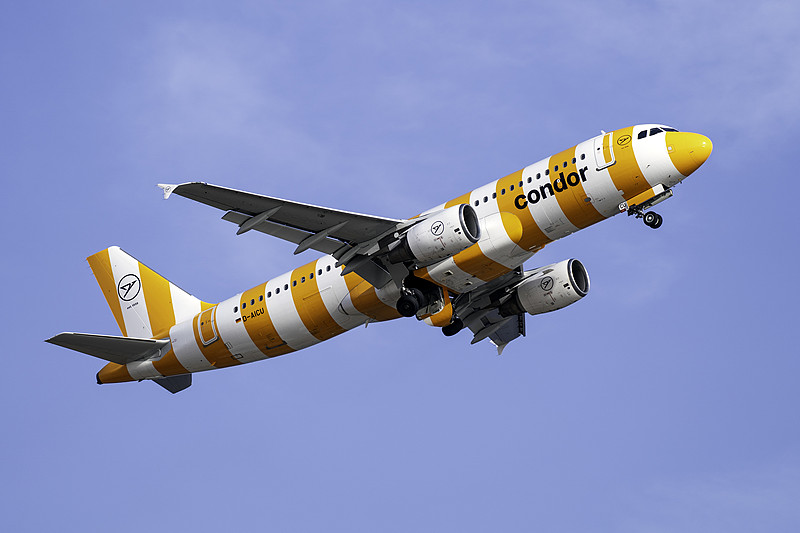 威露士消毒液采用上海空运专线配送到澳大利亚德文波特