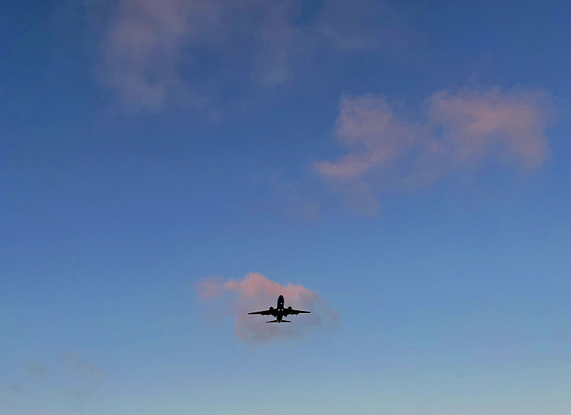 东方雨虹卷材经过北京优先空运送达澳大利亚朗塞斯顿 东方雨虹卷材经过北京优先空运送达澳大利亚朗塞斯顿