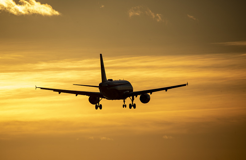 文竹盆景应用乌鲁木齐空海联运送到澳洲波特兰
