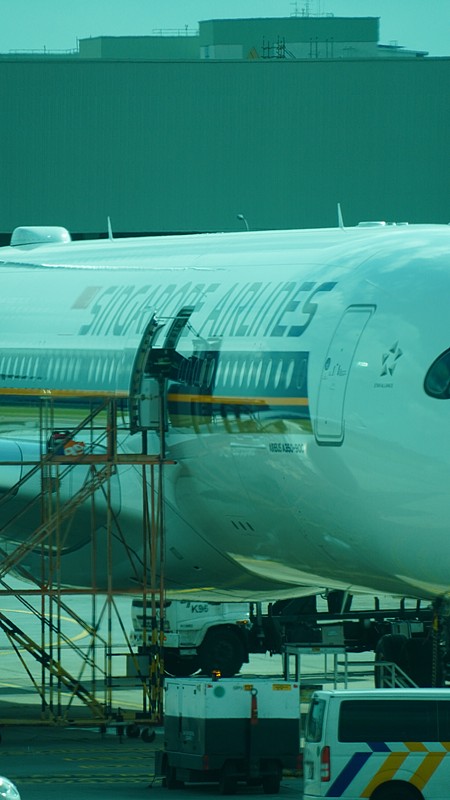 成都汤勺采用跨境海空联运15天送达澳洲麦凯