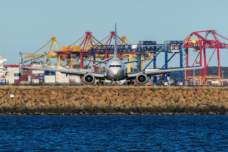 油籽利用中国长沙航空运输送到伯尼