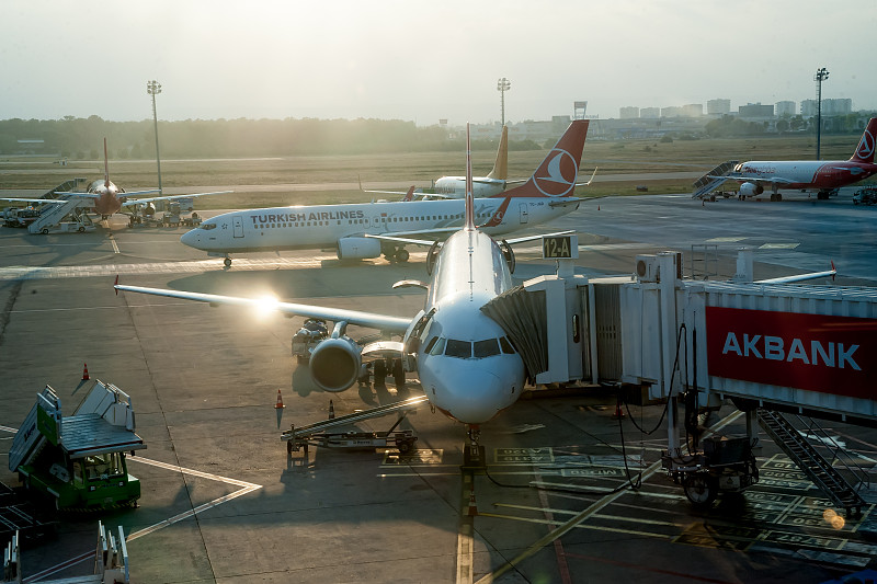 重黄娑罗双木应用中国石河子国际空运专线速递到怀阿拉 重黄娑罗双木应用中国石河子国际空运专线速递到怀阿拉