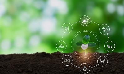 初级农产品利用中国广州空运门到门专线送到澳大利亚布里斯班