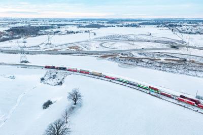 中国哈尔滨到肯布拉港的百雀羚面霜采用空海联运7天配送到