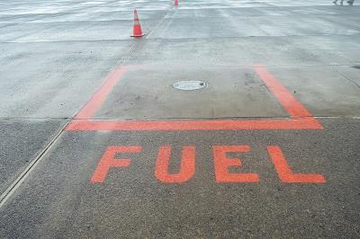 上海云南玫瑰鲜花饼使用海空联运15天送达德文波特