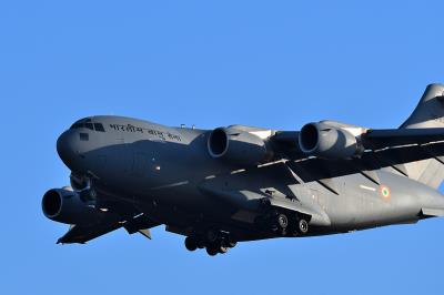 花梨木运用中国哈尔滨飞机运输配送到澳洲黑德兰港