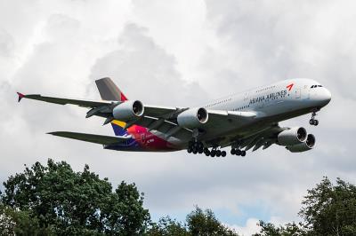 中国鄂州至澳大利亚昂斯洛的茶饮采用飞机运输7天送达