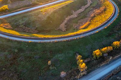 中国乌鲁木齐到堪培拉的旋切单板使用空运专线7天内送达