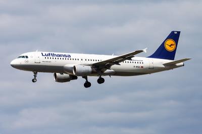 置物篮/储物篮运用广州优先空运送到德文波特 (Devonport)