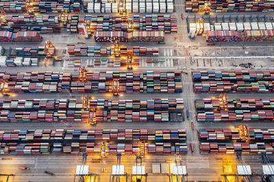 二翅豆木经基隆整箱海运快送到澳大利亚朗塞斯顿