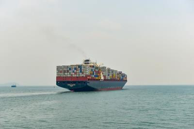 葡萄籽采纳中国厦门港到港海运完整送达阳光海岸