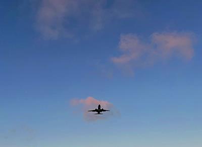 东方雨虹卷材经过北京优先空运送达澳大利亚朗塞斯顿