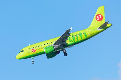 中国西宁针织使用优先空运8天内送达朗塞斯顿