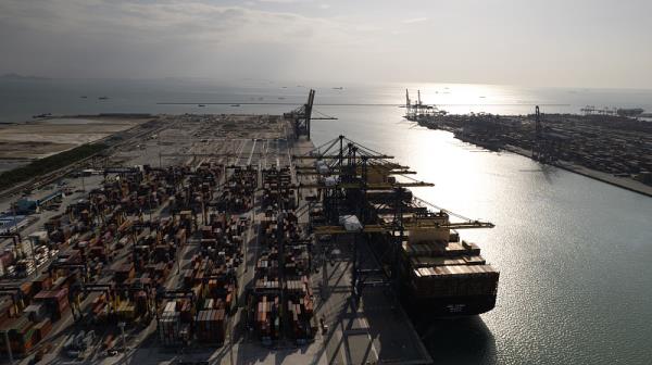 天津港货代公司：服务与优势一览