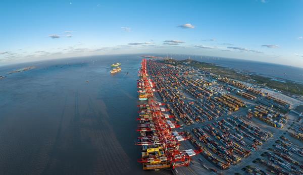 中国到维多利亚海运物流