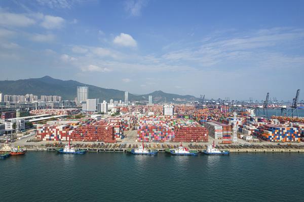 国际物流货物清关延误的原因都在这里