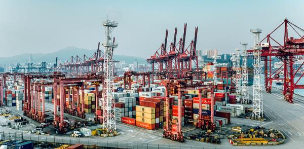 海关罚没的国际物流物品究竟去哪了?