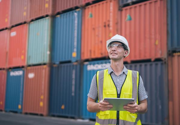 中国到加拿大海运航线有几条：时效、成本与避坑指南