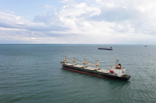 广州海运到加拿大多伦多需要多少天