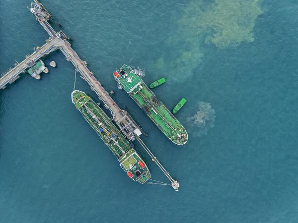 加拿大海运物流价格是多少？